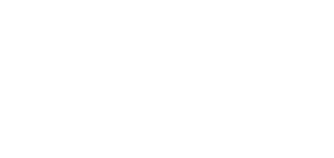 blue otter marketing logo